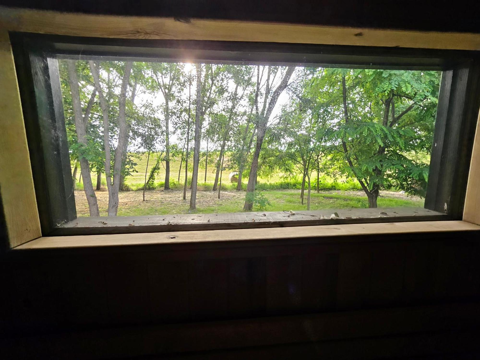 Meszes Apartman Kalocsa Oda fotoğraf